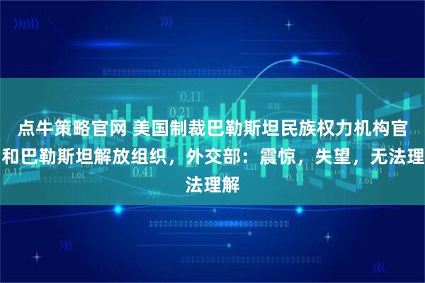 点牛策略官网 美国制裁巴勒斯坦民族权力机构官员和巴勒斯坦解放组织，外交部：震惊，失望，无法理解
