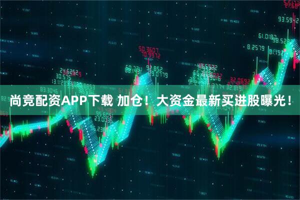 尚竞配资APP下载 加仓！大资金最新买进股曝光！
