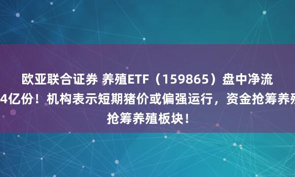 欧亚联合证券 养殖ETF（159865）盘中净流入超1.4亿份！机构表示短期猪价或偏强运行，资金抢筹养殖板块！