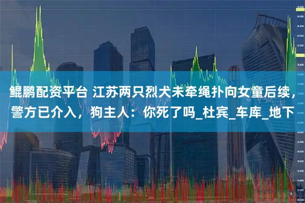 鲲鹏配资平台 江苏两只烈犬未牵绳扑向女童后续，警方已介入，狗主人：你死了吗_杜宾_车库_地下