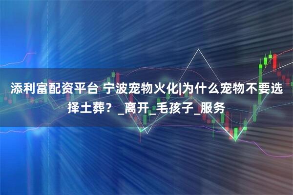 添利富配资平台 宁波宠物火化|为什么宠物不要选择土葬？_离开_毛孩子_服务