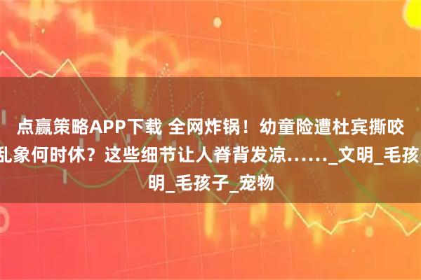 点赢策略APP下载 全网炸锅！幼童险遭杜宾撕咬，养宠乱象何时休？这些细节让人脊背发凉……_文明_毛孩子_宠物