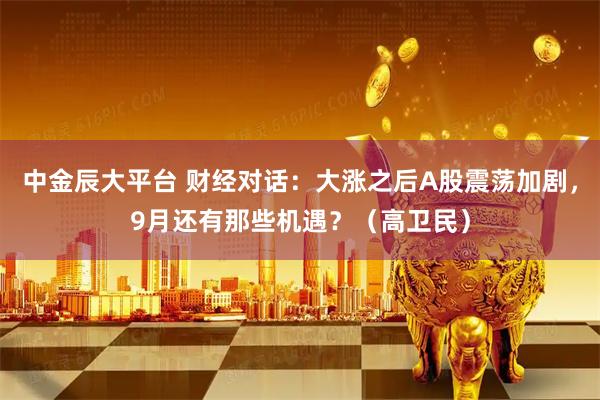 中金辰大平台 财经对话：大涨之后A股震荡加剧，9月还有那些机遇？（高卫民）